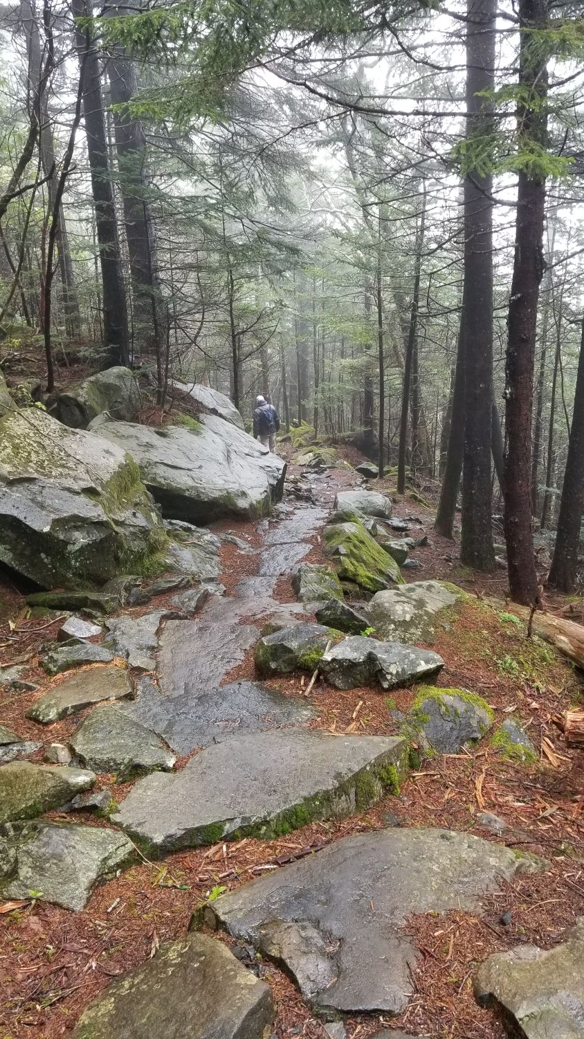 Abrahms Bald Hike 